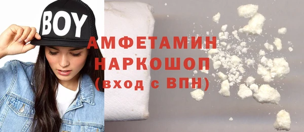 твердый Бородино
