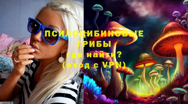 твердый Бородино