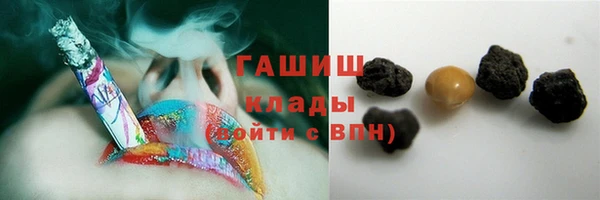 твердый Бородино