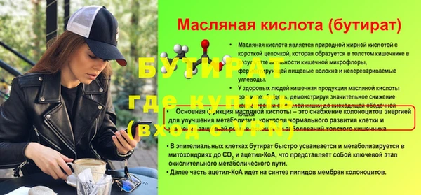 твердый Бородино