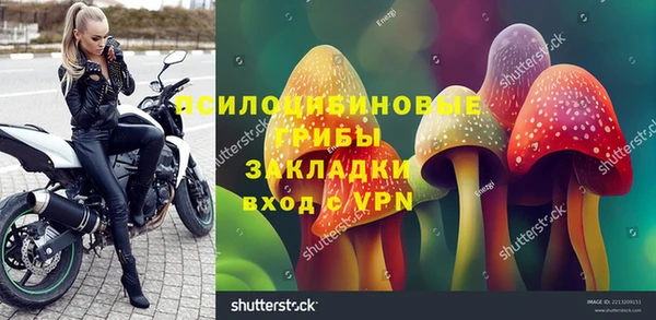твердый Бородино