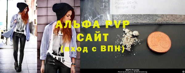 твердый Бородино