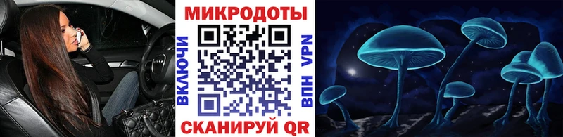 Псилоцибиновые грибы Cubensis  закладки  Чебоксары 